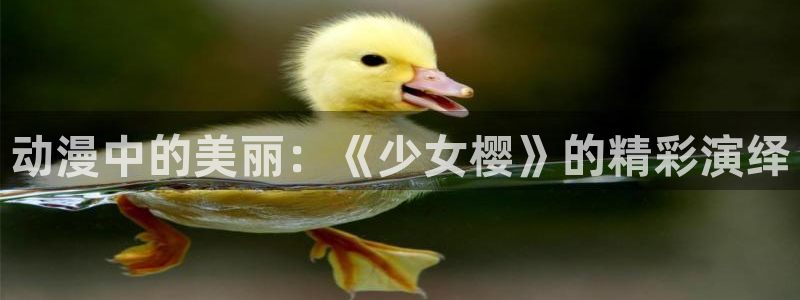 动漫之家在哪下