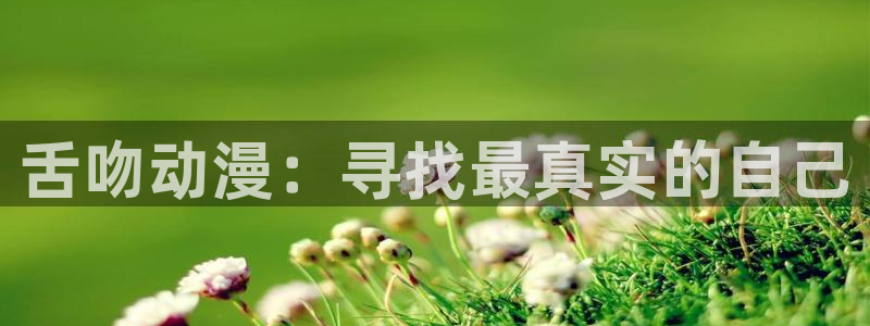 动漫之家安装不了